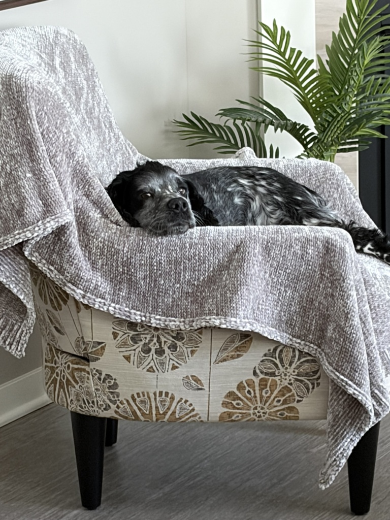 Cooper safe & happy in his new US home after his trans-atlantic journey